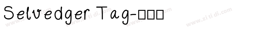 Selvedger Tag字体转换